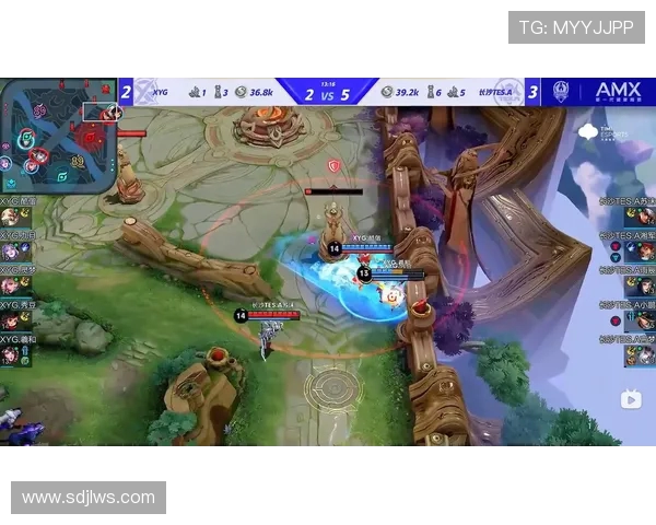 TES在挑战者杯中的比赛经验分析与表现评估 TES在挑战者杯中的比赛经验分析与表现评估