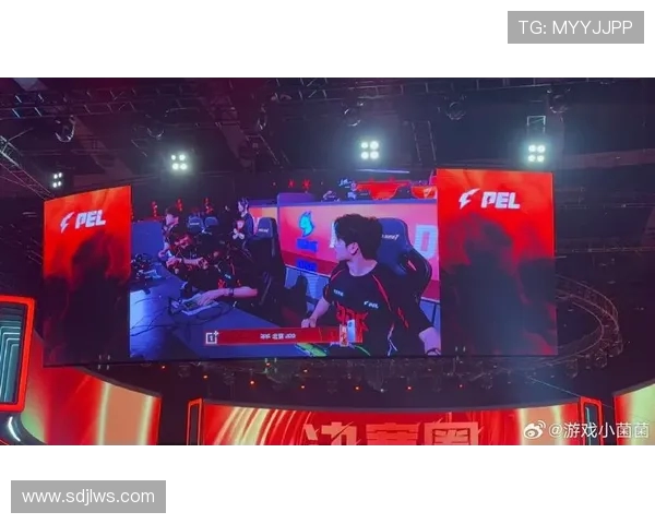 JDG在世界大师赛中的默契配合与战术执行分析