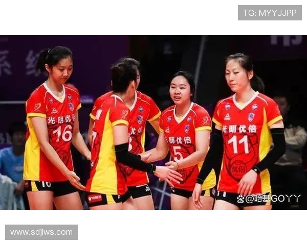 上海排球队以84分领跑选拔赛积分榜展现强劲实力