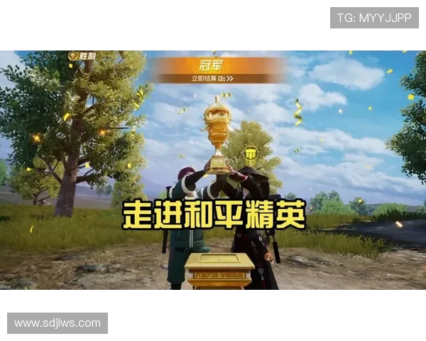 专访杨静揭秘和平精英成功背后的策略与创新之路 专访杨静揭秘和平精英成功背后的策略与创新之路