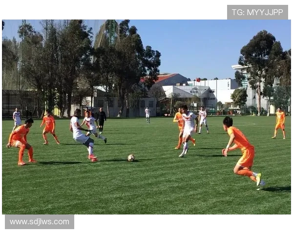 杭州乒乓球队阵地战打法深度分析与战术解读