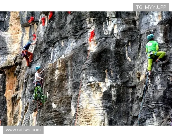 极限运动嘉年华回顾上海攀岩队意识表现的深度分析与启示