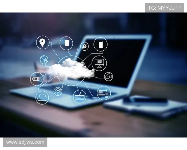 武汉极限运动队运营策略深度分析与成功经验分享