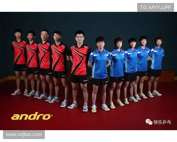 赛后分析：西安乒乓球队与杭州乒乓球队实力对比与战术探讨