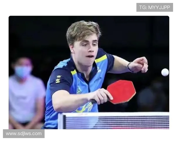 赵军乒乓球人生的深度对话与成长历程探秘