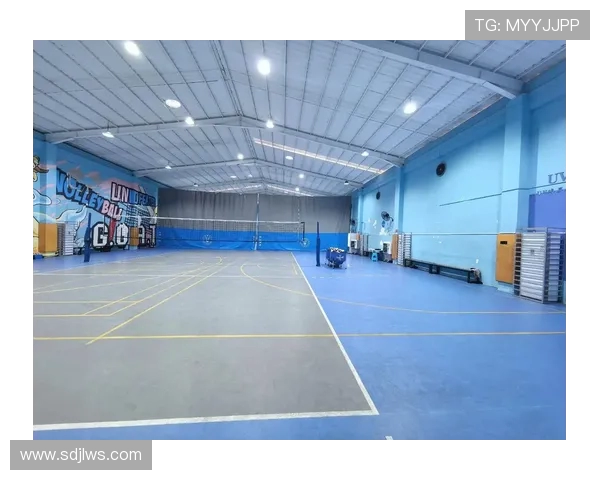 广州排球队引领最新排球技术前沿TOP10全解析