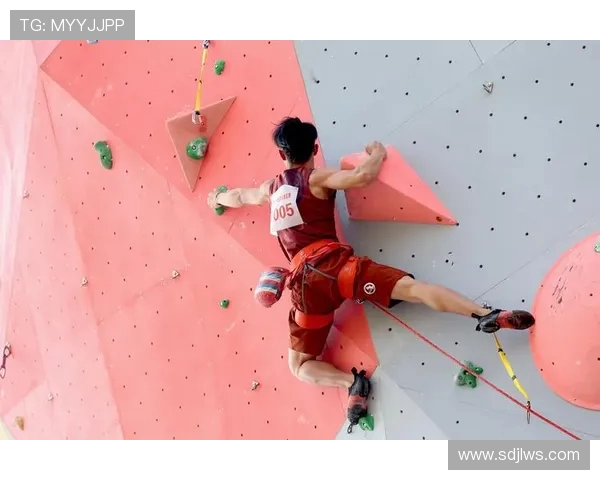 武汉攀岩队荣登全国攀岩意识排行榜第七位展现实力与潜力