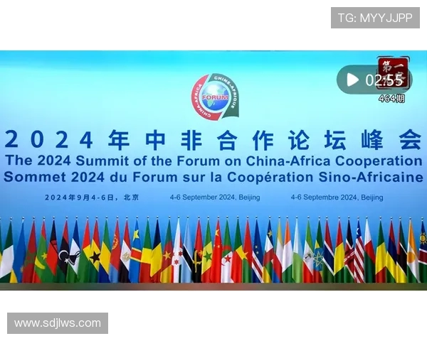 飞盘战术与团队协作成都飞盘队的成功运营模式探讨