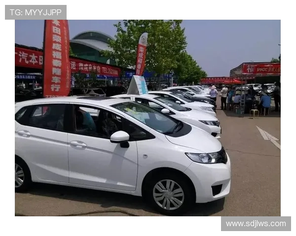 北京乒乓球队的拼搏历程与荣耀时刻全景回顾