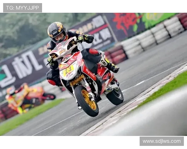 南京乒乓球队战术解析与运营体系探讨助力竞技水平提升